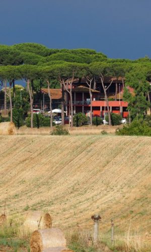 Borgo Testa di Lepre-Fiumicino -ROMA