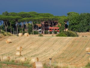 Borgo Testa di Lepre-Fiumicino -ROMA