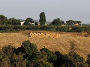 Borgo Testa di Lepre Comune di Fiumicino -ROMA
