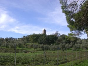 Immagine 043 copia