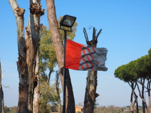 Borgo Testa di Lepre-3 marzo 2019- la sfilata dei carri allegorici.
