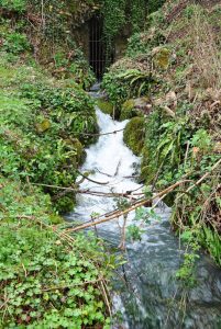 Castelnuovo di Farfa ACQUEDOTTO DI CERDOMARE