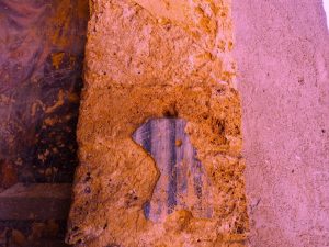 CASTELNUOVO di FARFA DEGRADO E ABBANDONO AFFRESCHI EX-CHIESA DI SANTA MARIA Foto di Franco Leggeri