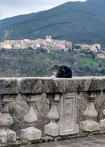 Elio MERCURI- Il 3° Fotoreportage da SALISANO (Rieti)
