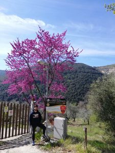 Castelnuovo di Farfa (RI)-Azienda Agricola Il Cervo Rampante