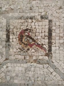 Villa romana degli Aurelii Cottae a Cottanello