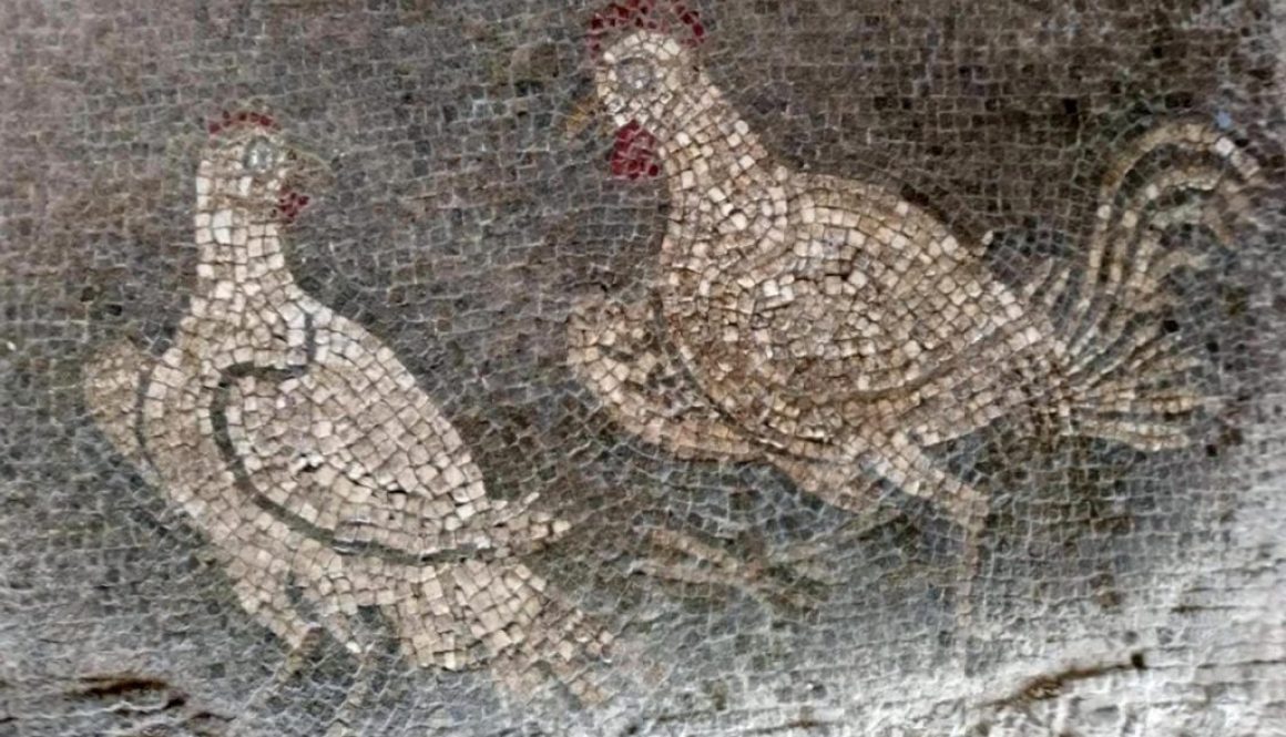 Villa romana degli Aurelii Cottae a Cottanello
