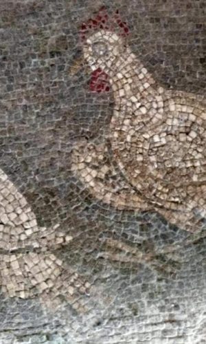 Villa romana degli Aurelii Cottae a Cottanello