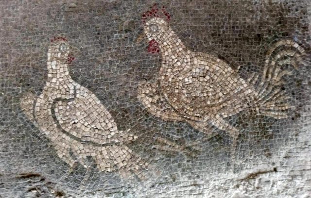 Villa romana degli Aurelii Cottae a Cottanello