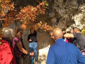 Riattivati - Associazione Culturale TREKKING NELLA "TERRA DELLE GROTTE" 07.11.2021