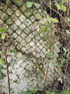Poggio Mirteto- Loc. 𝐂𝐚𝐬𝐭𝐞𝐥𝐥𝐚𝐜𝐜𝐢𝐨 resti di una Villa Romana