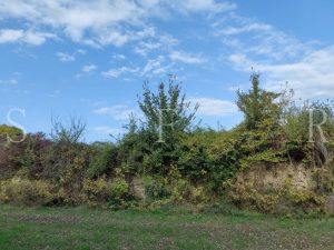 Poggio Mirteto- Loc. 𝐂𝐚𝐬𝐭𝐞𝐥𝐥𝐚𝐜𝐜𝐢𝐨 resti di una Villa Romana