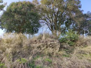 Poggio Mirteto- Loc. 𝐂𝐚𝐬𝐭𝐞𝐥𝐥𝐚𝐜𝐜𝐢𝐨 resti di una Villa Romana