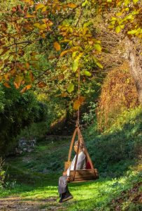 Alessandra FINITI “Novembre in SABINA”