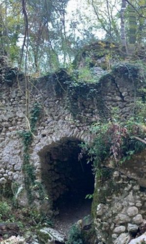LA MOLA SUL GALANTINA
