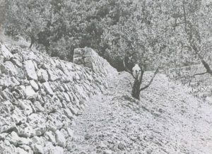 RIETI-CANTIERI SCUOLA dell’anno 1948