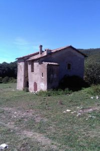 SALISANO : Osteria Fatucchi XVI sec.