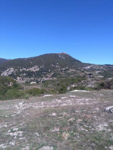 Salisano : Osteria Fatucchi XVI sec. Mucche al pascolo , Sullo sfondo il monte Tancia.
