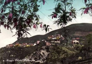 POGGIO CATINO (Rieti)