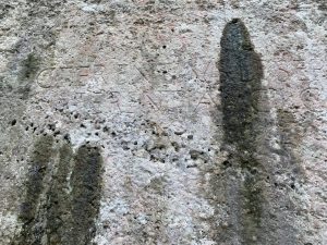 POGGIO NATIVO: LA TOMBA DEI TERENZI
