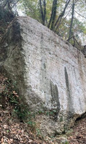 POGGIO NATIVO: LA TOMBA DEI TERENZI