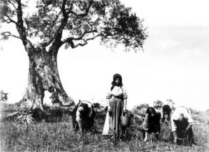 Foto di FILIPPO ROCCI –La Sabina Immagini di vita rurale, ritratti di contadini.