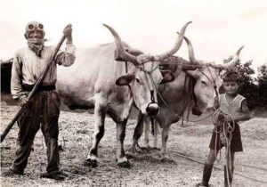 Foto di FILIPPO ROCCI –La Sabina Immagini di vita rurale, ritratti di contadini.