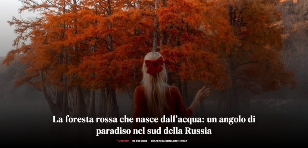 La foresta rossa 