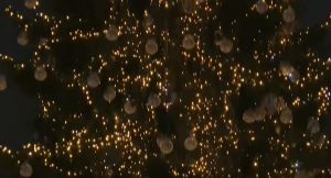 ROMA Natale 2021-- Fotoreportage Piazza San Pietro -l'albero di Natale e il presepe-