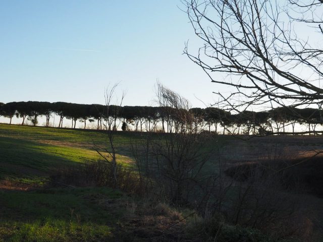 Foto di Franco Leggeri- Campagna Romana Viale dei pini Torre della BOTTACCIA-