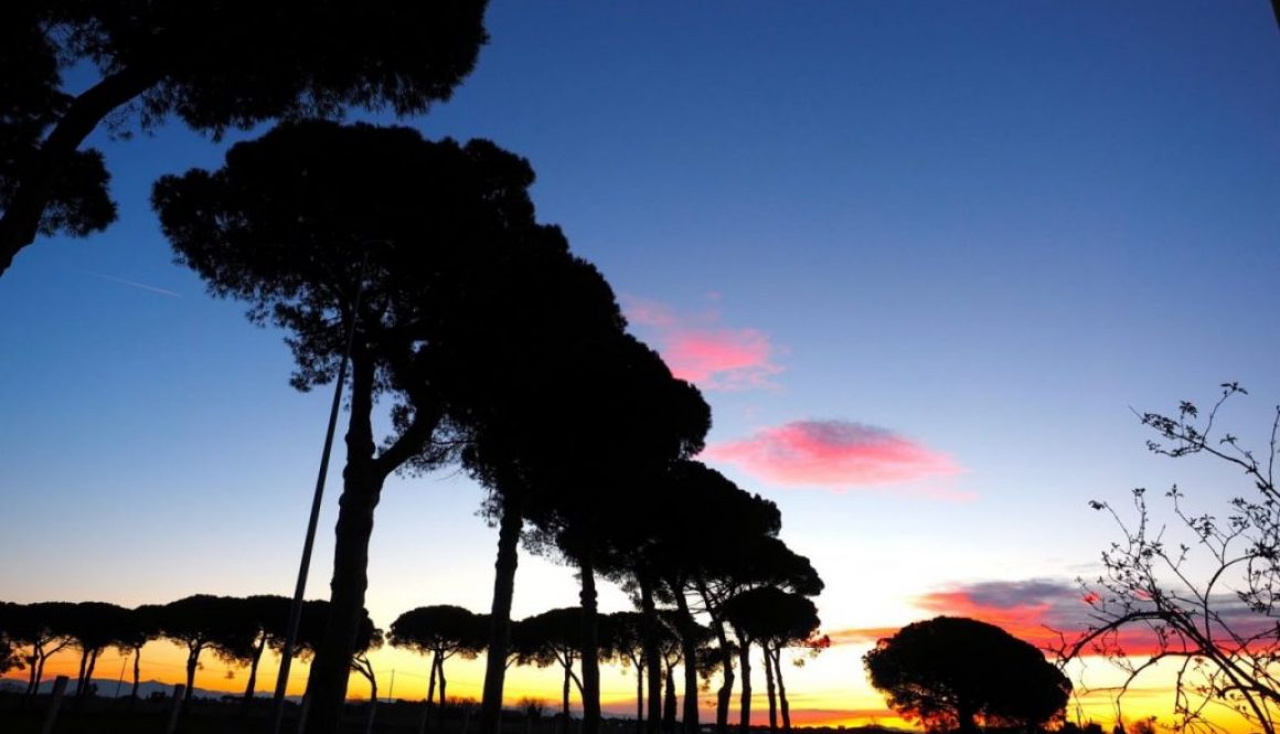 Foto di Franco Leggeri- Campagna Romana Viale dei pini Torre della BOTTACCIA-