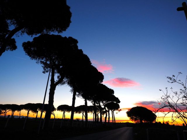 Foto di Franco Leggeri- Campagna Romana Viale dei pini Torre della BOTTACCIA-