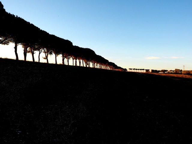 Foto di Franco Leggeri- Campagna Romana Viale dei pini Torre della BOTTACCIA-