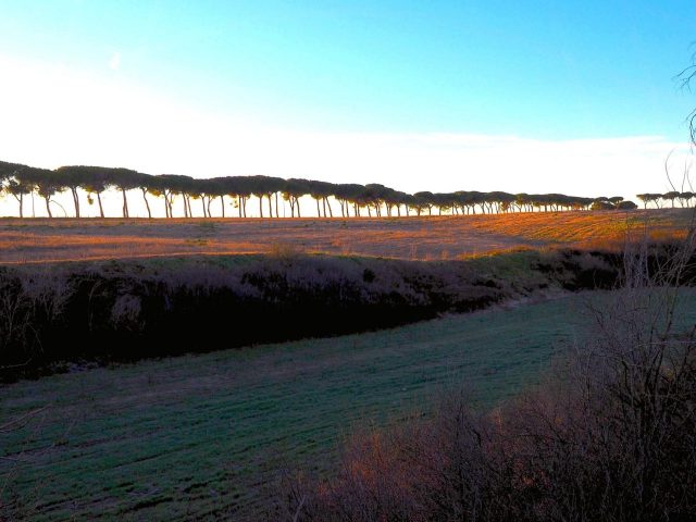 Foto di Franco Leggeri- Campagna Romana Viale dei pini Torre della BOTTACCIA-
