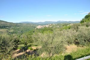 FRASSO SABINO (Rieti)