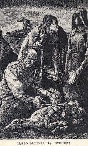 SILOGRAFI SARDI 1935-BIBLIOTECA DEA SABINA