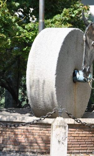 COLTODINO in Sabina (Rieti)-Monumento all'Olivicoltura