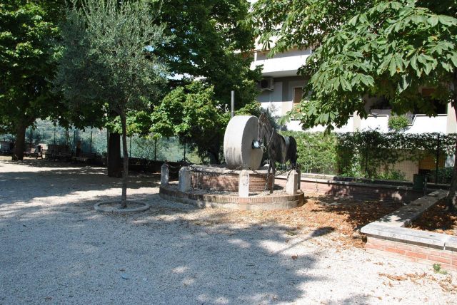 COLTODINO in Sabina (Rieti)-Monumento all'Olivicoltura