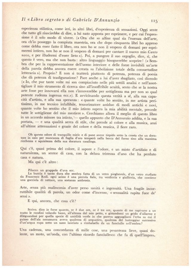 Gabriele D’ANNUNZIO –Il “LIBRO SEGRETO”