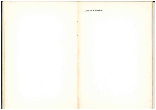Bruno Francisci :”DENTRO il LABIRINTO”- Poesie 