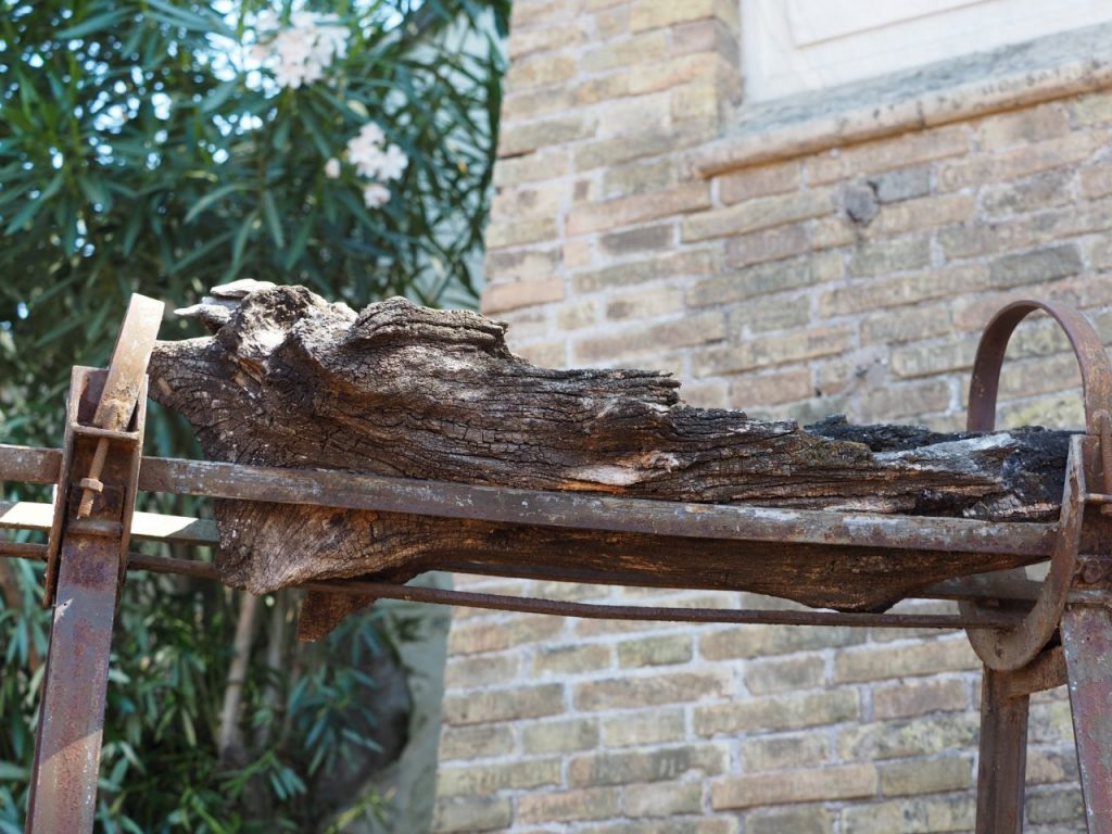 La quercia del Tasso al Gianicolo