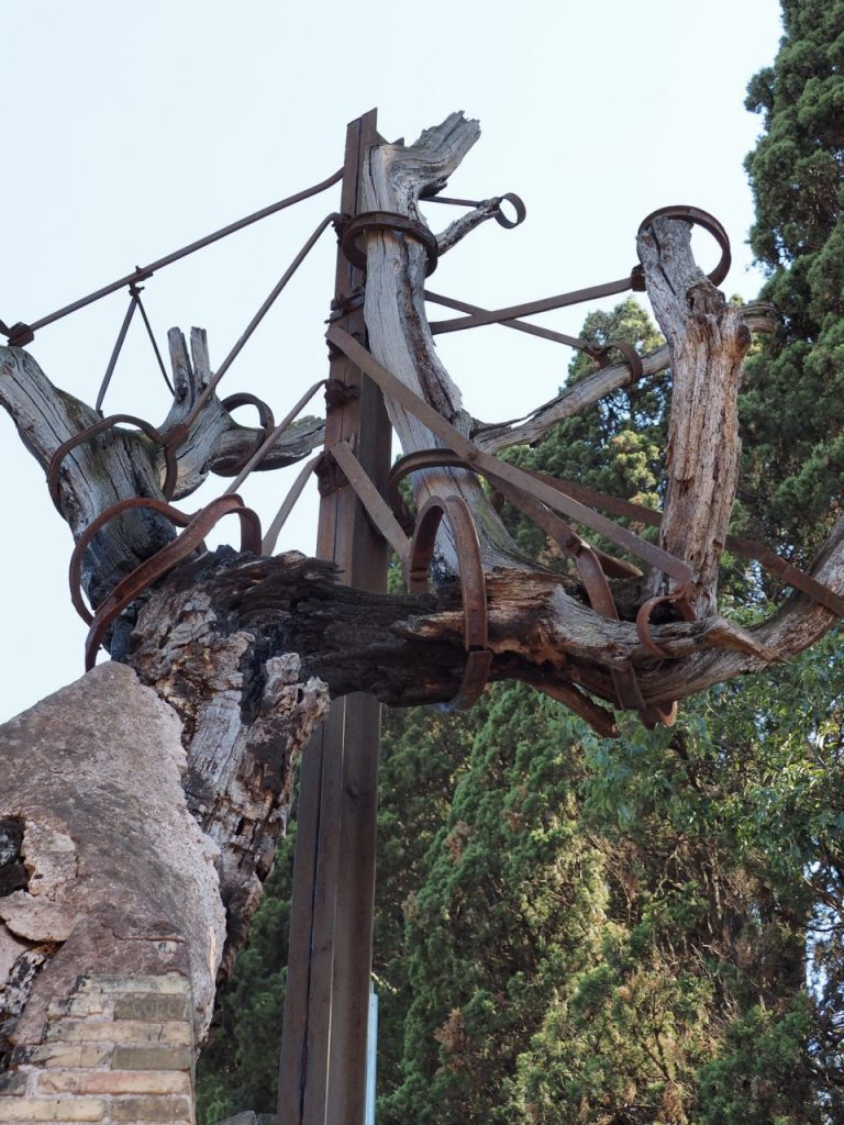 La quercia del Tasso al Gianicolo