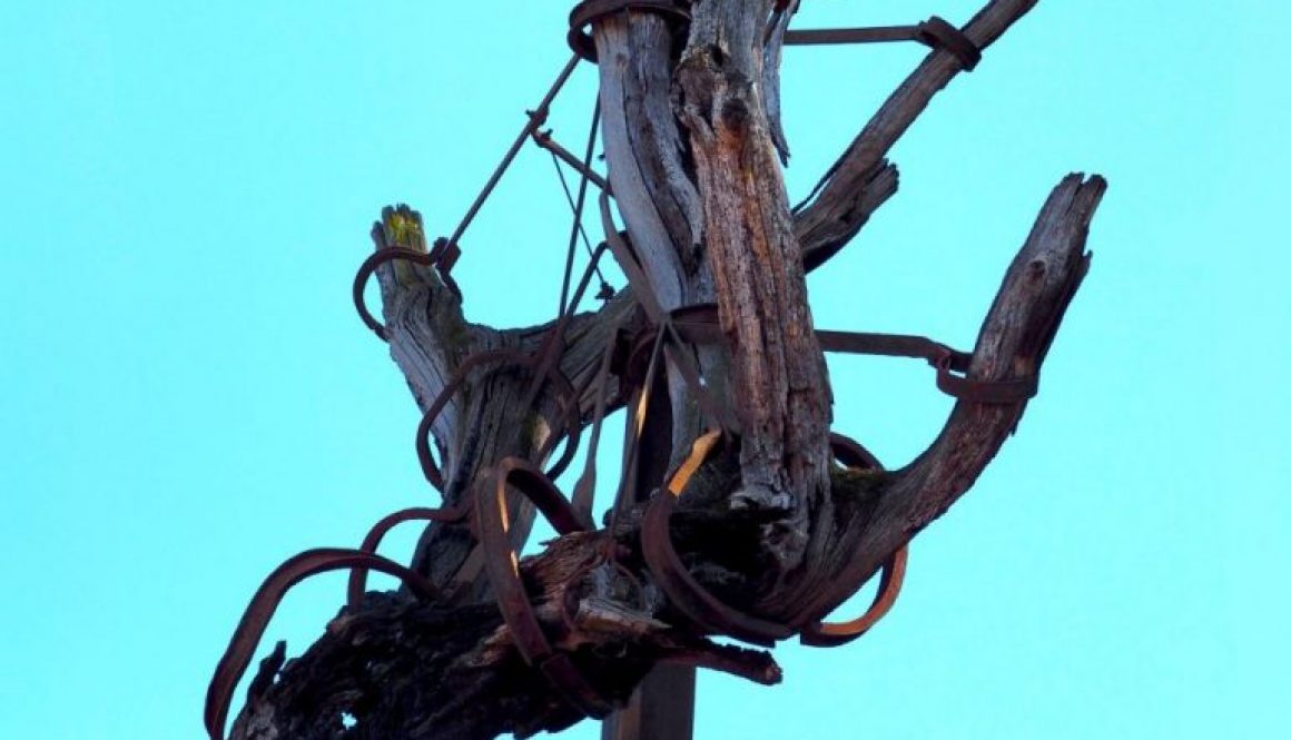 La quercia del Tasso al Gianicolo