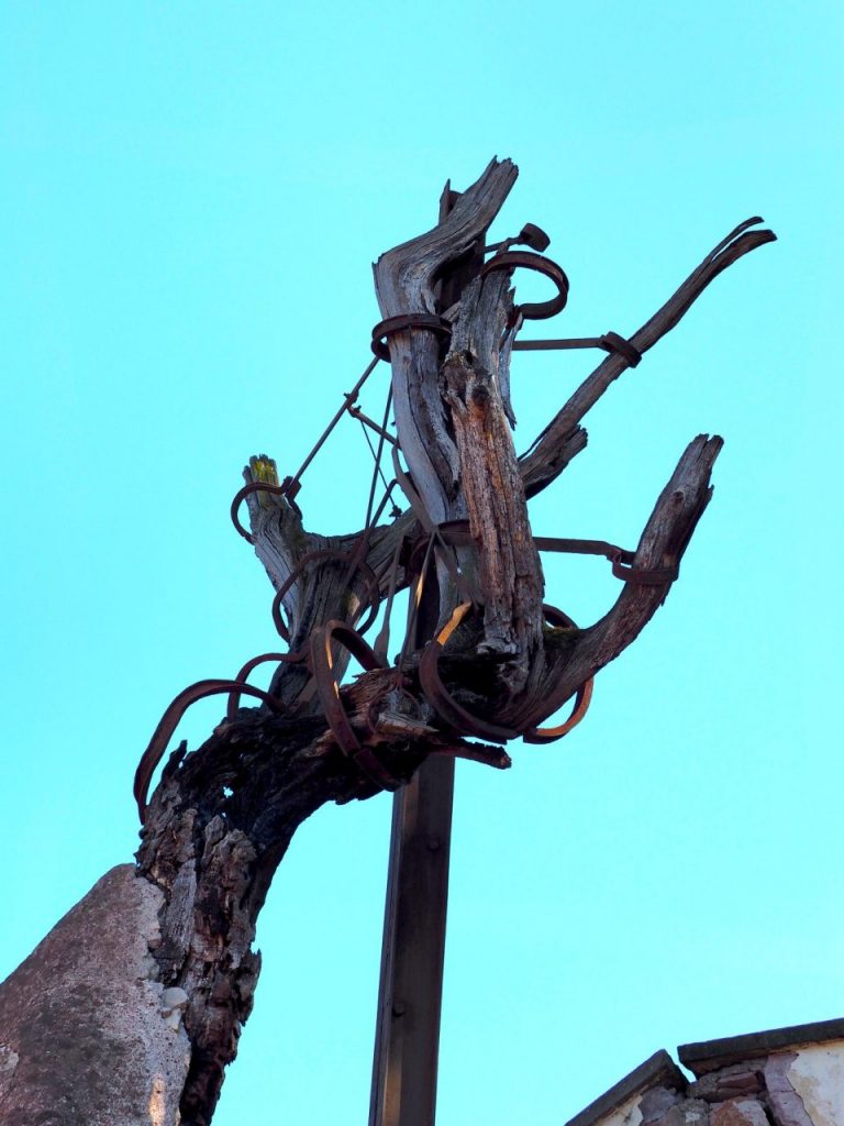 La quercia del Tasso al Gianicolo