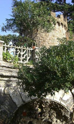 Roma -Torretta di Porta Pertusa-Fotoreportage di Franco Leggeri