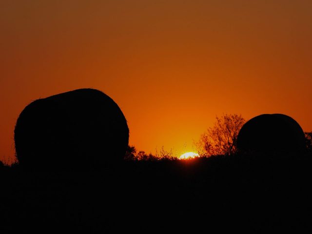 Franco Leggeri Fotoreportage- L'Alba nella Campagna Romana