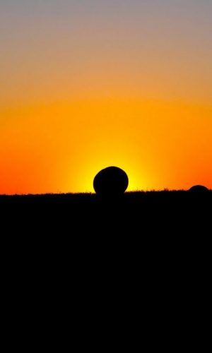 Franco Leggeri Fotoreportage- L'Alba nella Campagna Romana