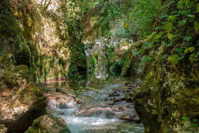 Fiume FARFA
