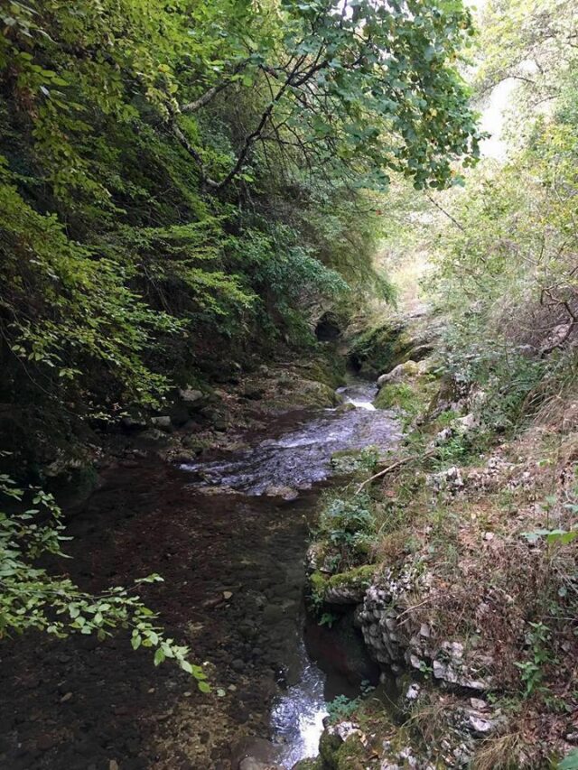 Fiume FARFA