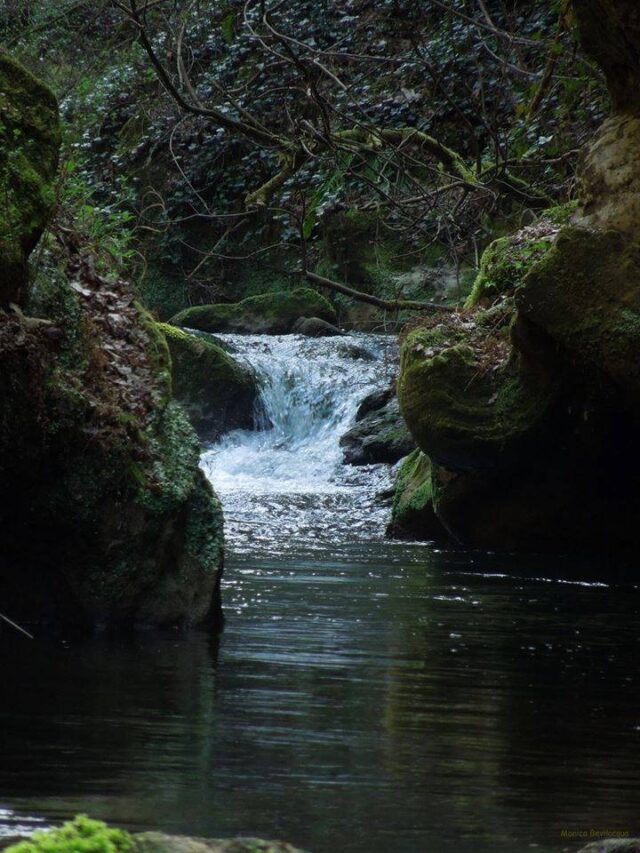 Fiume FARFA